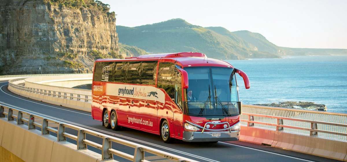 Экскурсионные туры лето 2024. Автобусный тур. Туристический транспорт. Автобус для путешествий. Автобусный тур на черное море.